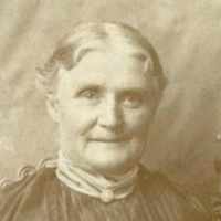 Susan Amelia Perry (1849 - 1925) Profile